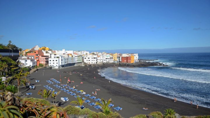 Things to do in Tenerife to feel the nature very closely