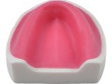 Surgical Typodont Training Models in Dental Education: From Simulation to Full Clinical Workflow