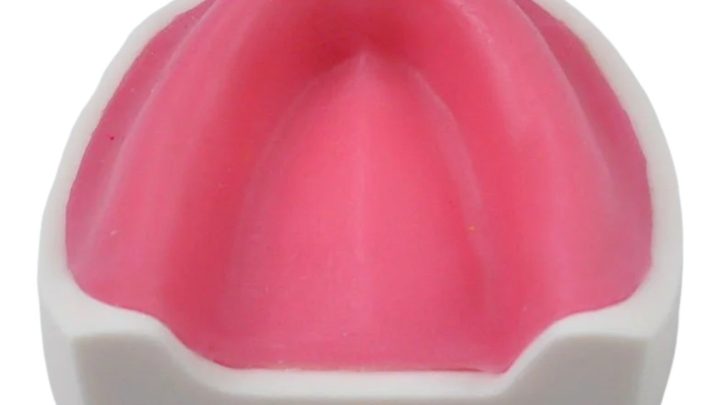 Surgical Typodont Training Models in Dental Education: From Simulation to Full Clinical Workflow